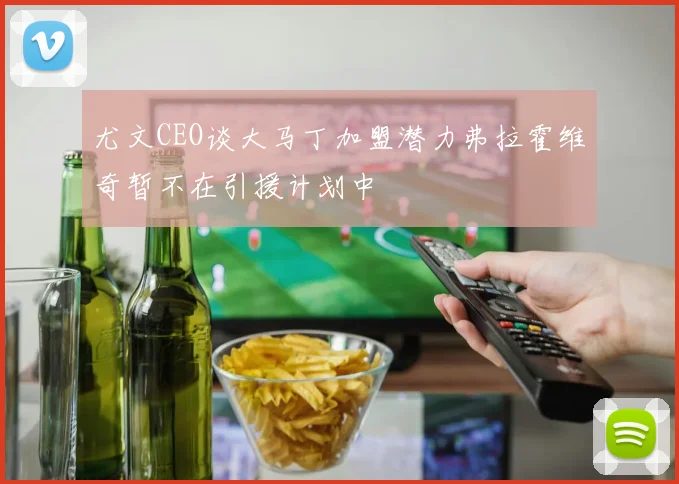 尤文CEO谈大马丁加盟潜力弗拉霍维奇暂不在引援计划中